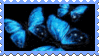 Blue Butterflies